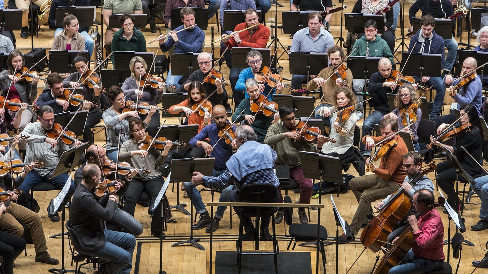 L’Orquestra Simfònica i Nacional de Catalunya durant un 
 Assaig dirigit per Kazushi Ono. / CÈLIA ATSET
