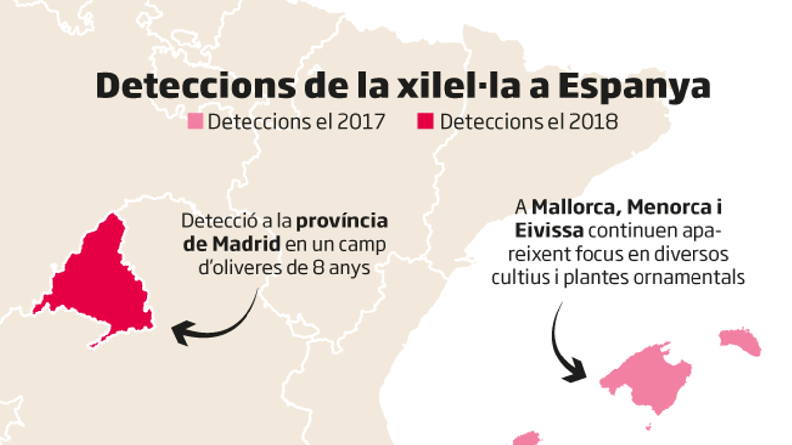 La xilel·la a Espanya
