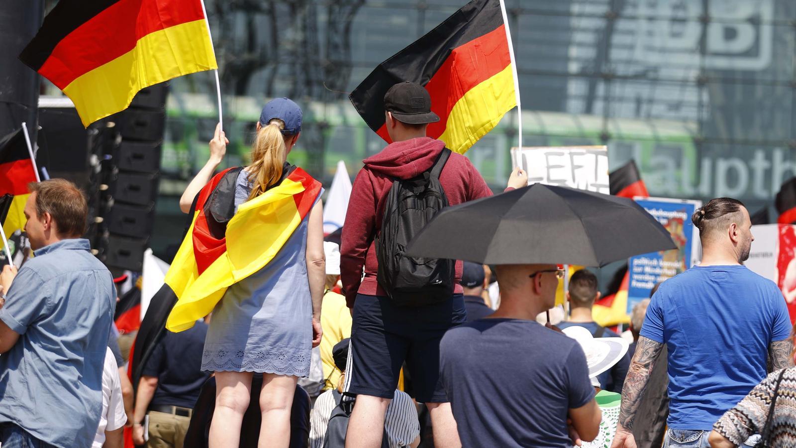 Simpatitzants d'Adf onejant banderes a Alemanya a la manifestació de Berlín / HANNIBAL HANSCHKE / REUTERS