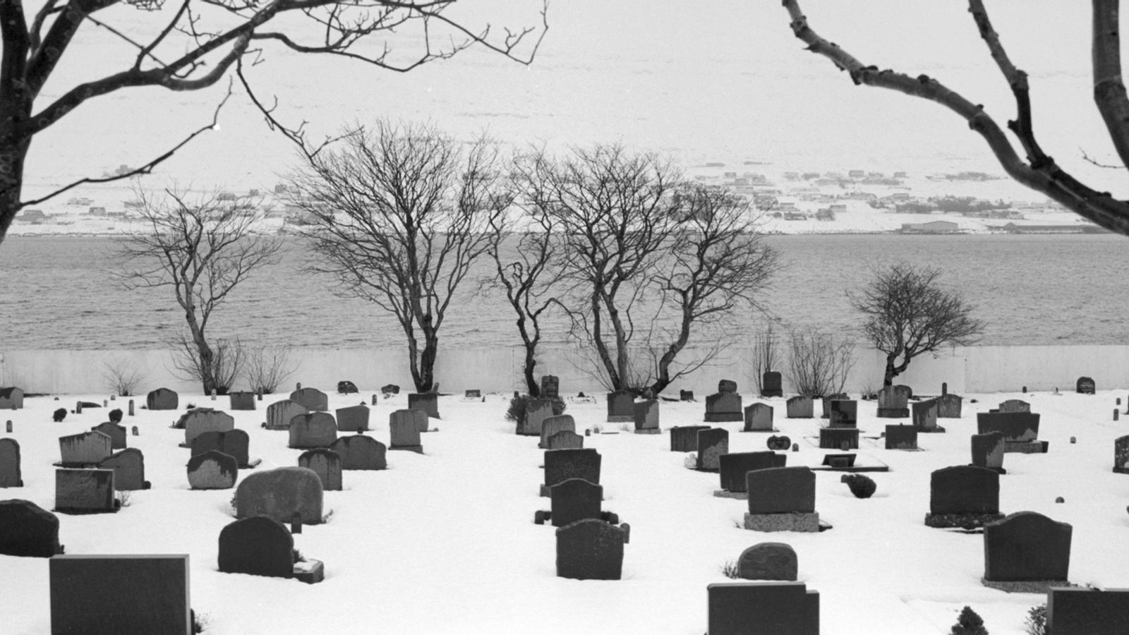 Un cementiri en una de les illes / Guillem Trius